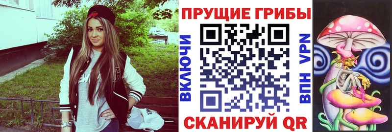 где купить наркотик  Заринск  Галлюциногенные грибы Magic Shrooms 